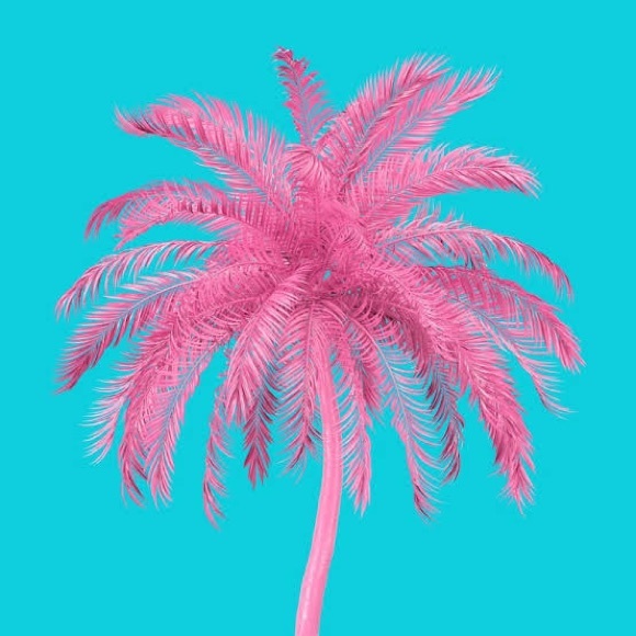 pinkpalmbreeze